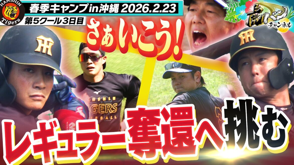 【レギュラー奪還へ】梅野＆木浪が宜野座で汗を流し練習に没頭！シン・ムードメーカー畠の声は止むことを知らない！阪神タイガース密着！応援番組「虎バン」ABCテレビ公式チャンネル