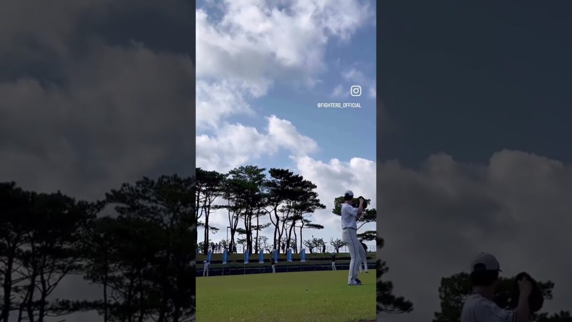 Playing Catch.#ドミれ #lovefighters