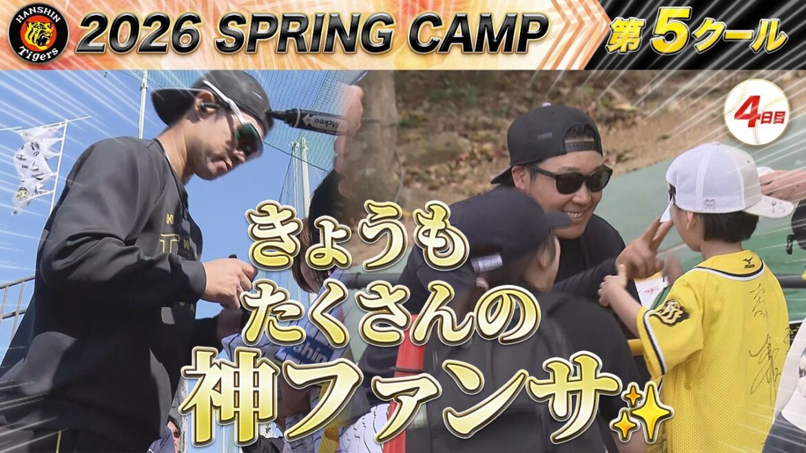 【2/24 阪神キャンプ】あすで最終日！今日も たくさんの 神ファンサ！！