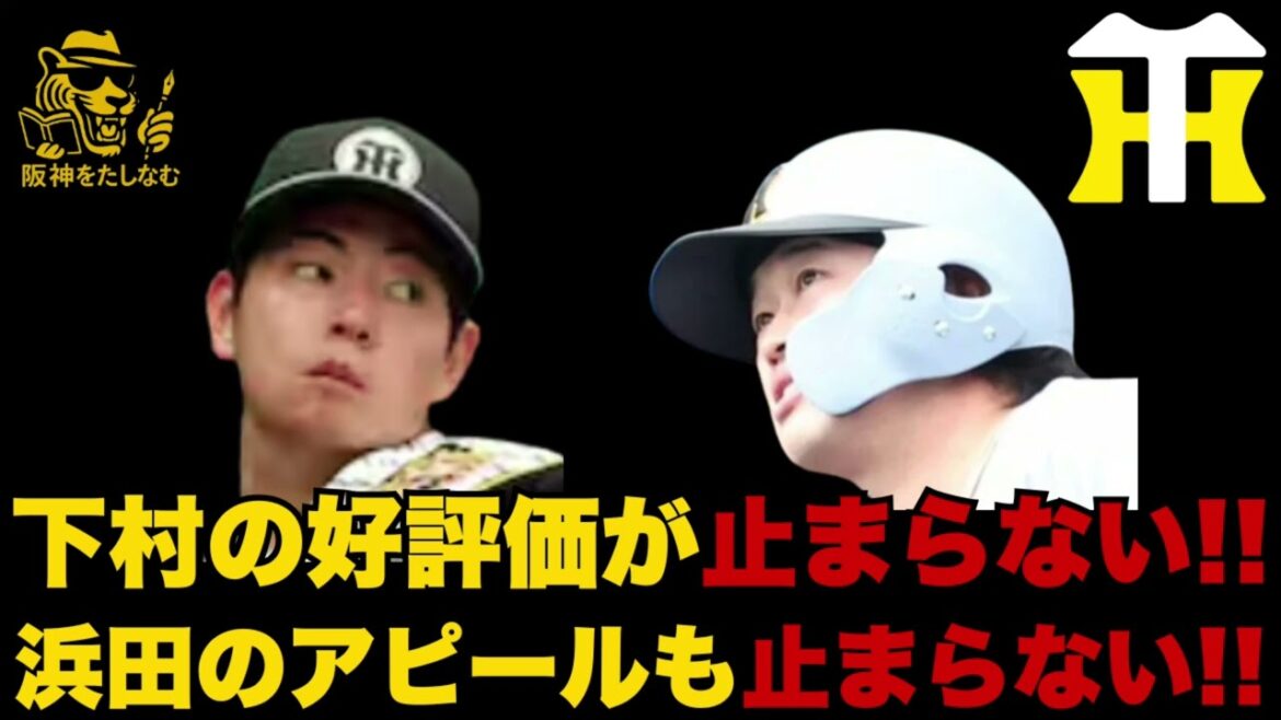 【キャンプ考察2/15🔥】立石のミート力を考察‼️下村の好評価が止まらない‼️  #阪神タイガース＃阪神タイガースたしなむ#阪神キャンプ2/15＃下村 海翔＃濱田 太貴
