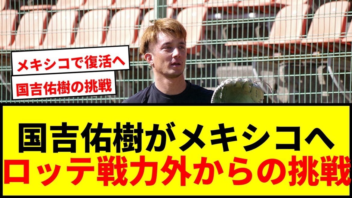 【衝撃】国吉佑樹「戻りたいと思っていない」ロッテ戦力外→メキシコ挑戦…34歳右腕の覚悟