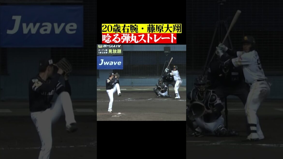 Pacific-League: 【衝撃ストレート】ギータ大絶賛の藤原大翔 #shorts 【衝撃ストレート】ギータ大絶賛の藤原大翔 #shorts