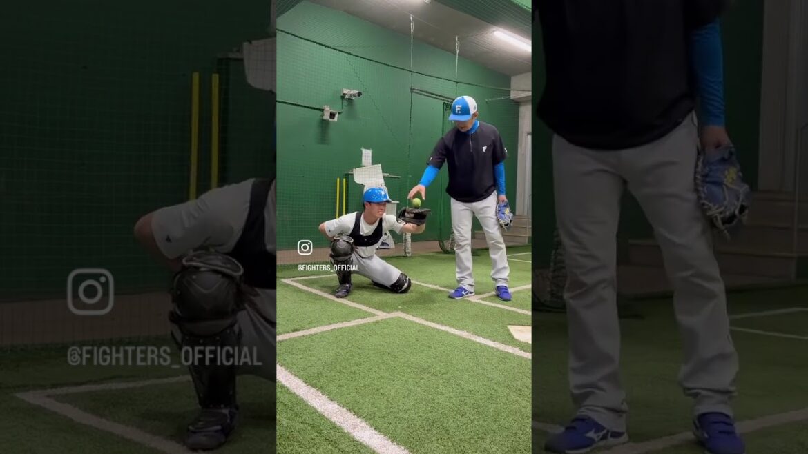 捕る#ドミれ#lovefighters