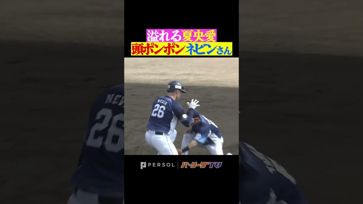 Pacific-League: 【頭ポンポン】夏央とネビン 2人の春物語 #shorts 【頭ポンポン】夏央とネビン 2人の春物語 #shorts