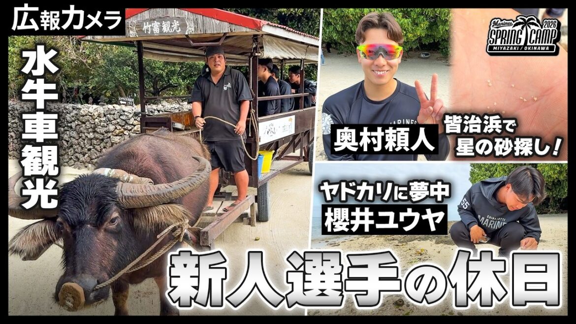 【春季キャンプ】新人選手初めての休日！竹富島観光にカメラが密着！【広報カメラ】
