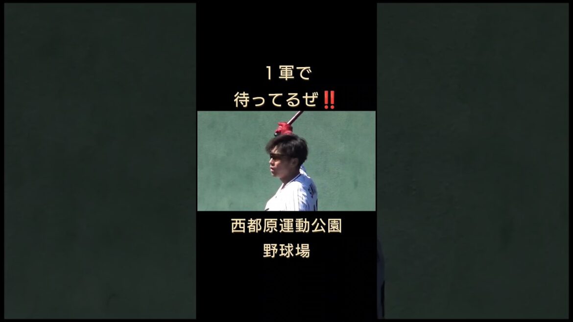 #澤井廉　#松本直樹　#橋本星哉 　#東京ヤクルトスワローズ 　#燕心全開 　#西都市 　#宮崎県 　#shorts　#練習試合