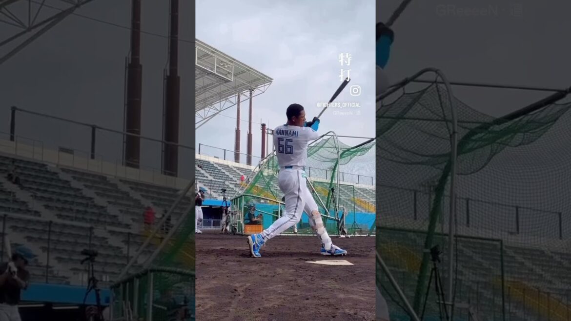 特打#ドミれ#lovefighters