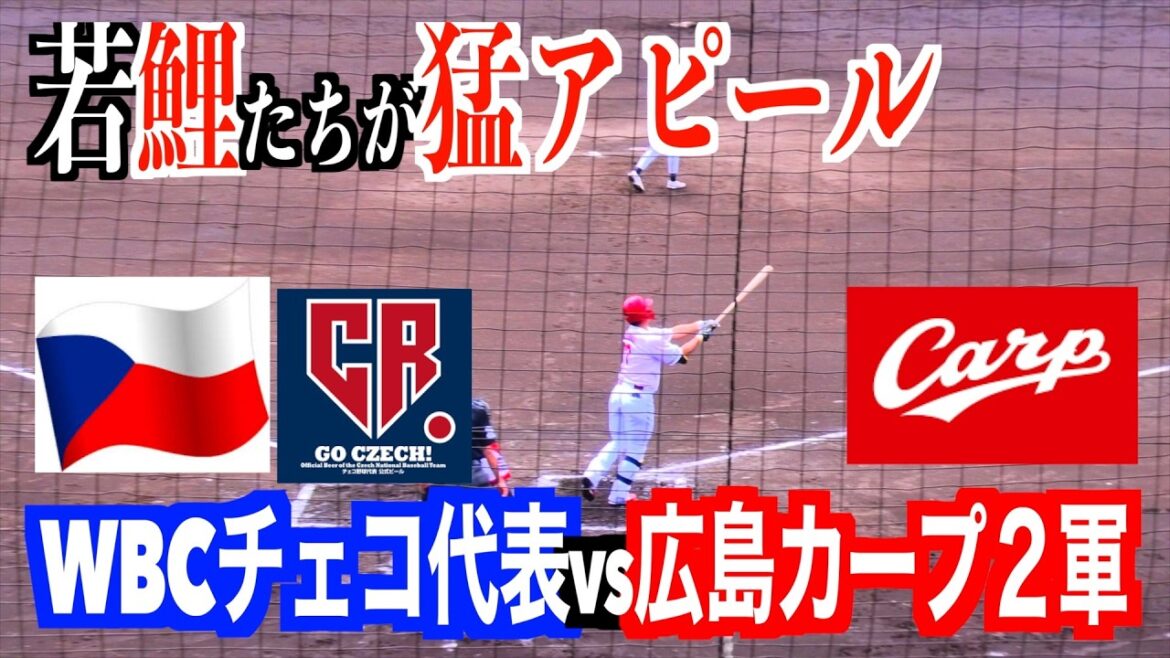 広島東洋カープ２軍vsWBCチェコ代表čeština　中村貴浩のホームランなど若鯉が猛アピール‼️【広島カープ２軍春季日南キャンプ２０２６／２／２４＠天福球場】