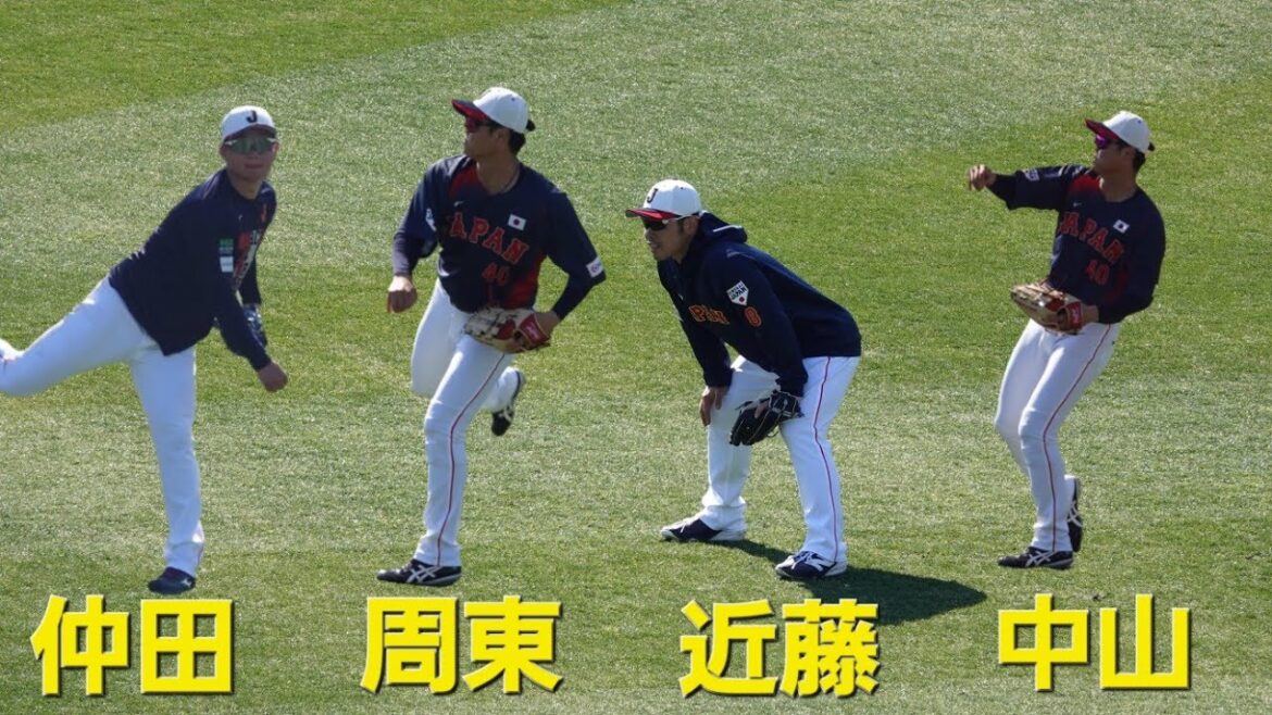 侍ジャパン 宮崎キャンプ 外野ノック(2026-0221)  #亀井善行