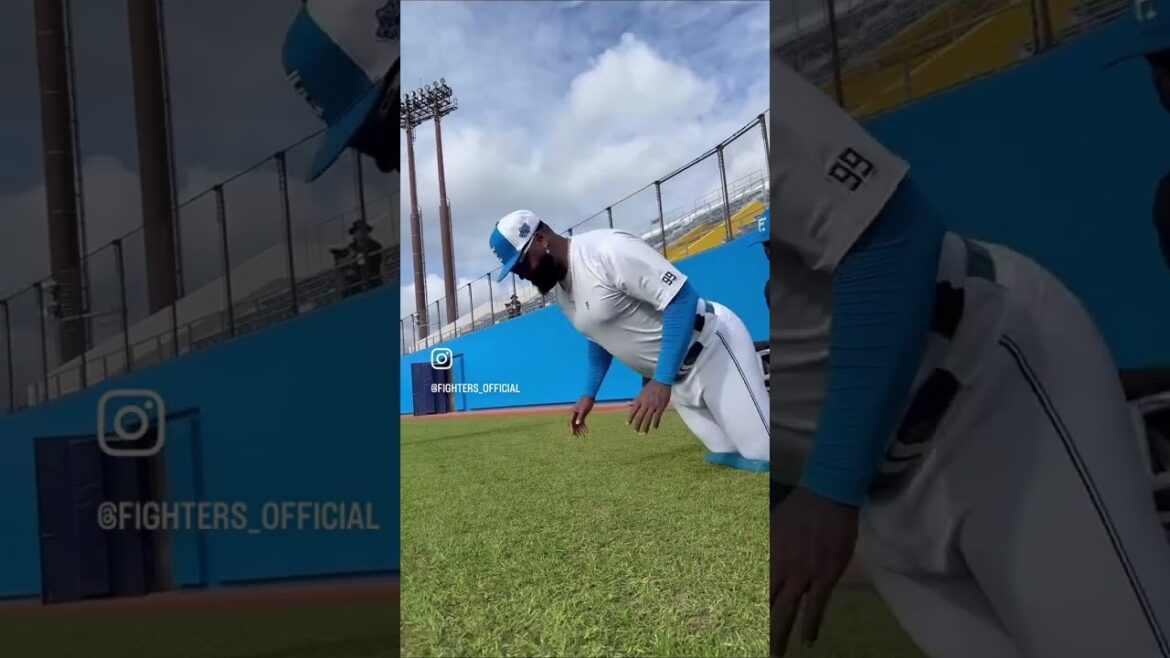 Play Ball. #ドミれ #lovefighters