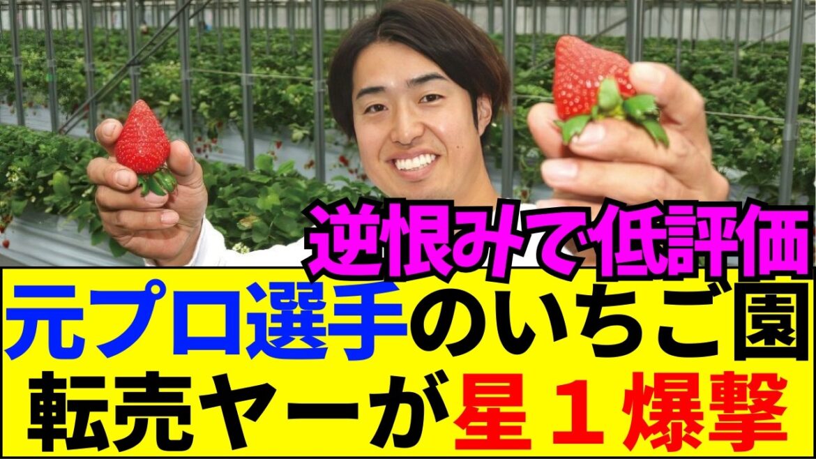 【速報】サイン断られ「ぼったくり」と激怒？元中日・三ツ間さんを襲ったクレーマーの正体がヤバすぎる…【ネットの反応】