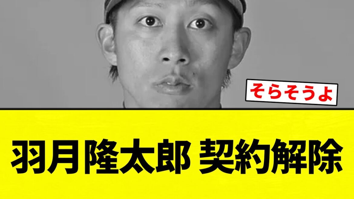 【知ってた】羽月隆太郎 契約解除【プロ野球反応集】【2chスレ】【なんG】 【知ってた】羽月隆太郎 契約解除【プロ野球反応集】【2chスレ】【なんG】