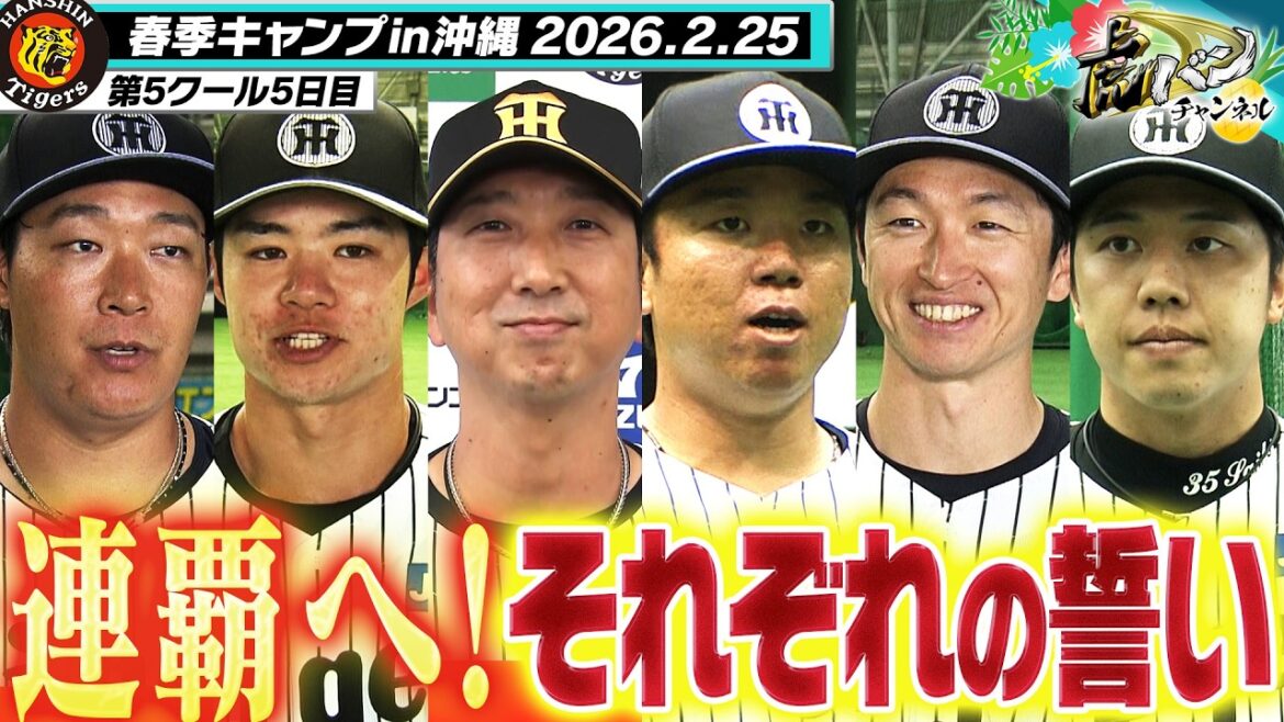 【キャンプ最終日】　新選手会長村上が手締め！阪神タイガース密着！応援番組「虎バン」ABCテレビ公式チャンネル