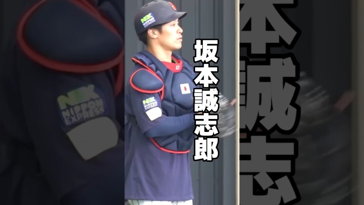 侍ジャパン　坂本誠志郎のキャッチングが神すぎる… 阪神タイガース　WBC #侍ジャパン  #阪神タイガース
