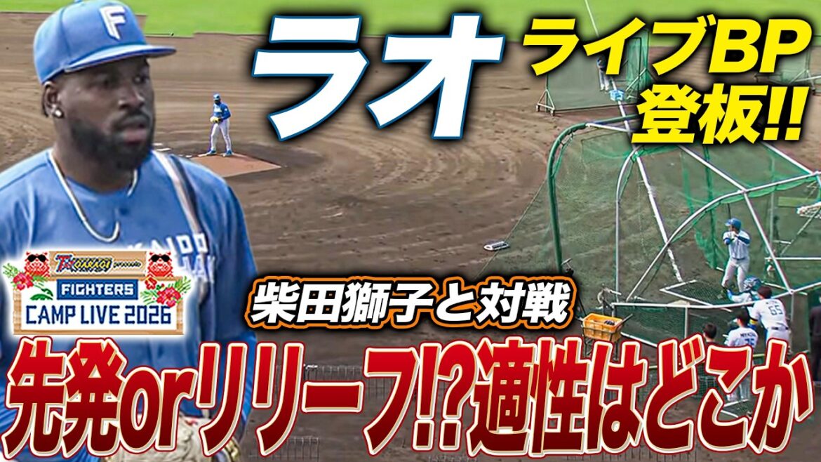 新加入ラオがライブBP登板で柴田獅子と対戦‼️先発orリリーフどちらが適正か＜2/23ファイターズ春季キャンプ2026＞