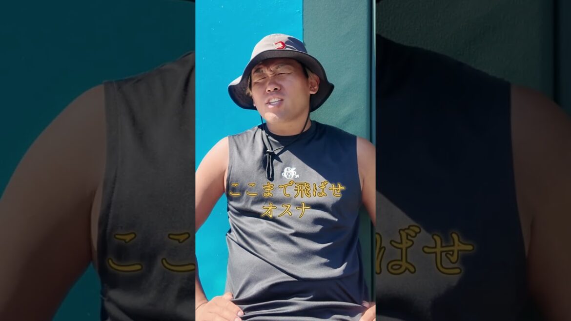 【東京ヤクルトスワローズ】ホセ・オスナ選手の応援歌歌ってみた。#shorts #応援歌#東京ヤクルトスワローズ