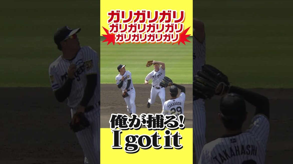 【流行語大賞!?】ガリガリガリガリガリ！球場に響き渡る新たな掛け声にファンが湧いた！#阪神タイガース #hanshintigers #虎バンチャンネル #プロ野球キャンプ #プロ野球 #shorts