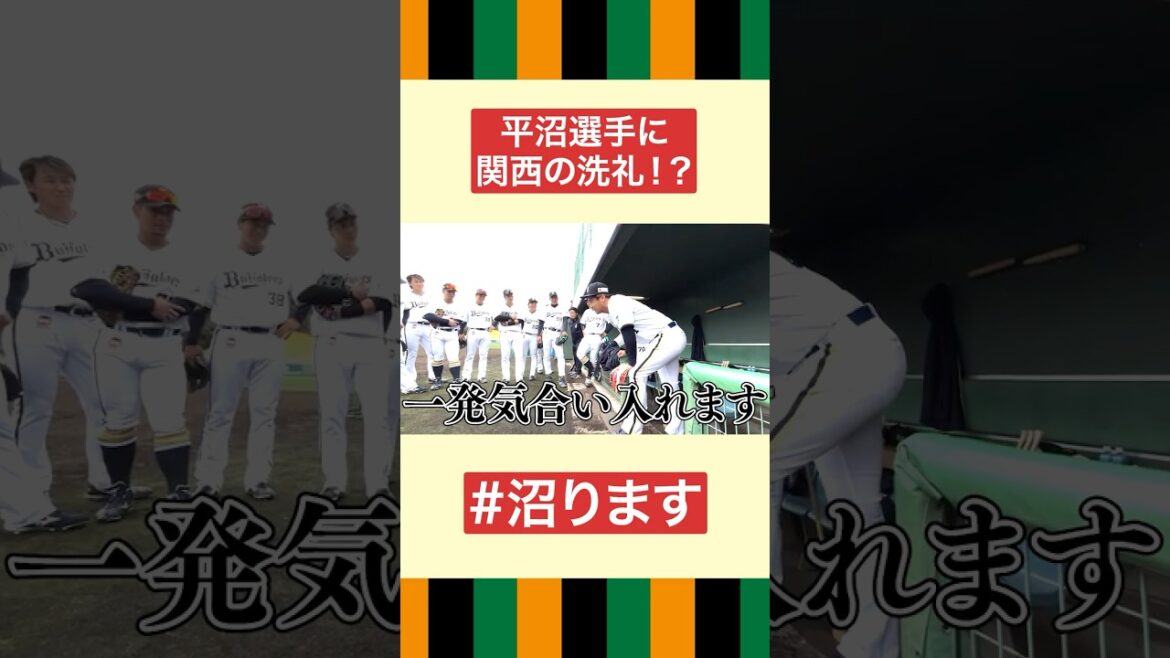 沼ります。#平沼翔太 #麦谷祐介 #オリックス #shorts