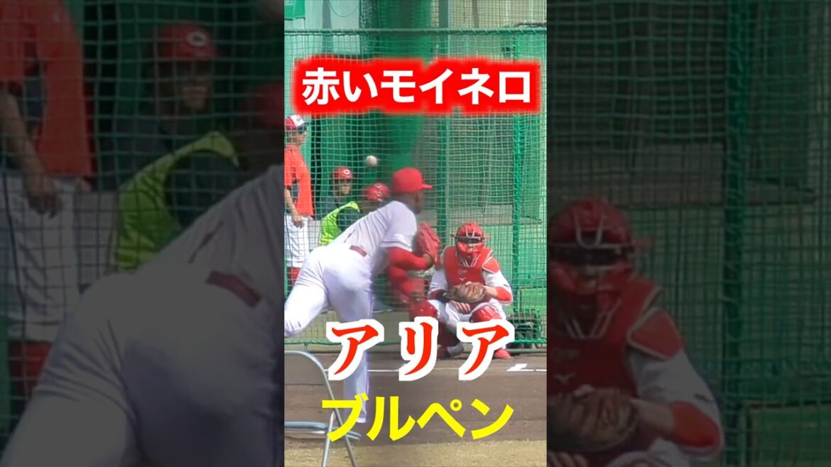 【赤いモイネロ】アリア（練習生）ブルペン投球！広島東洋カープ２軍vsWBCチェコ代表čeština　【２０２６／２／２４＠天福球場】
