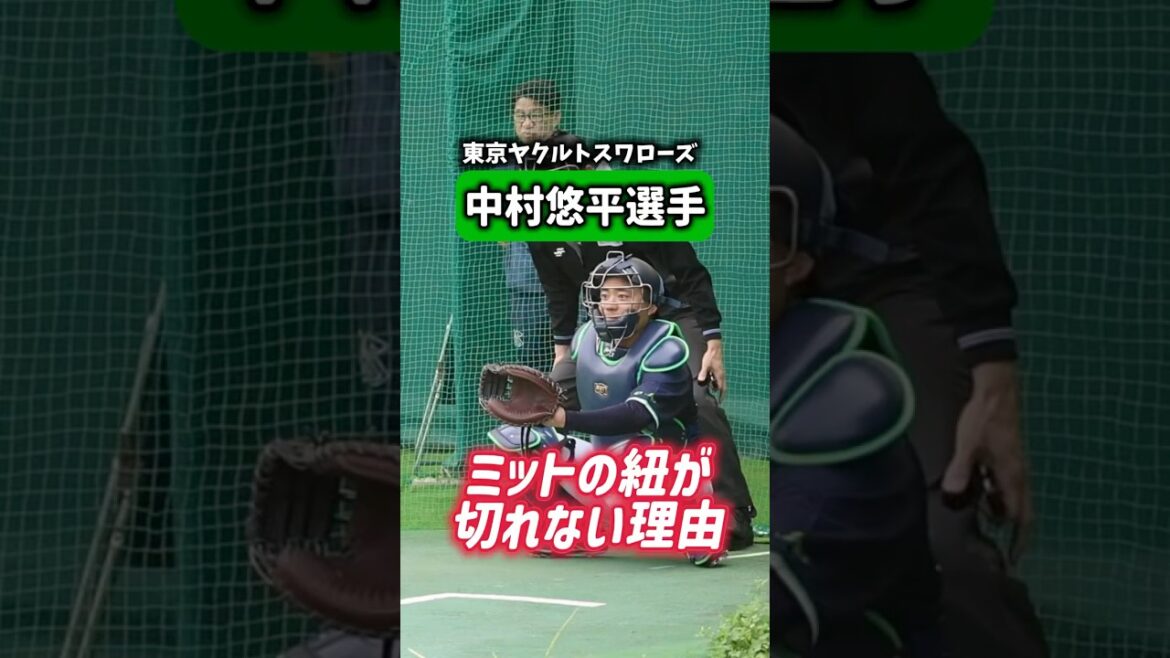 #中村悠平 #東京ヤクルトスワローズ 中村悠平選手のミットから学ぶ正しいキャッチャーミットの使い方