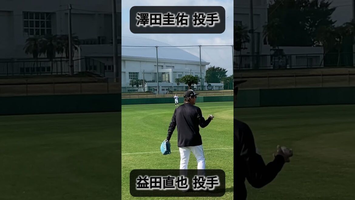 【春季キャンプ2026】澤田圭佑投手と益田直也投手のキャッチボール #千葉ロッテマリーンズ #春季キャンプ #糸満 #澤田圭佑 #益田直也 #キャッチボール #野球youtube