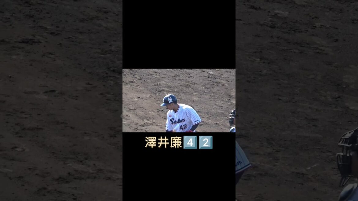 #澤井廉 　#東京ヤクルトスワローズ 　#燕心全開 　#shorts  #西都市　#宮崎県 　#燕征 　#応燕 　#春季キャンプ