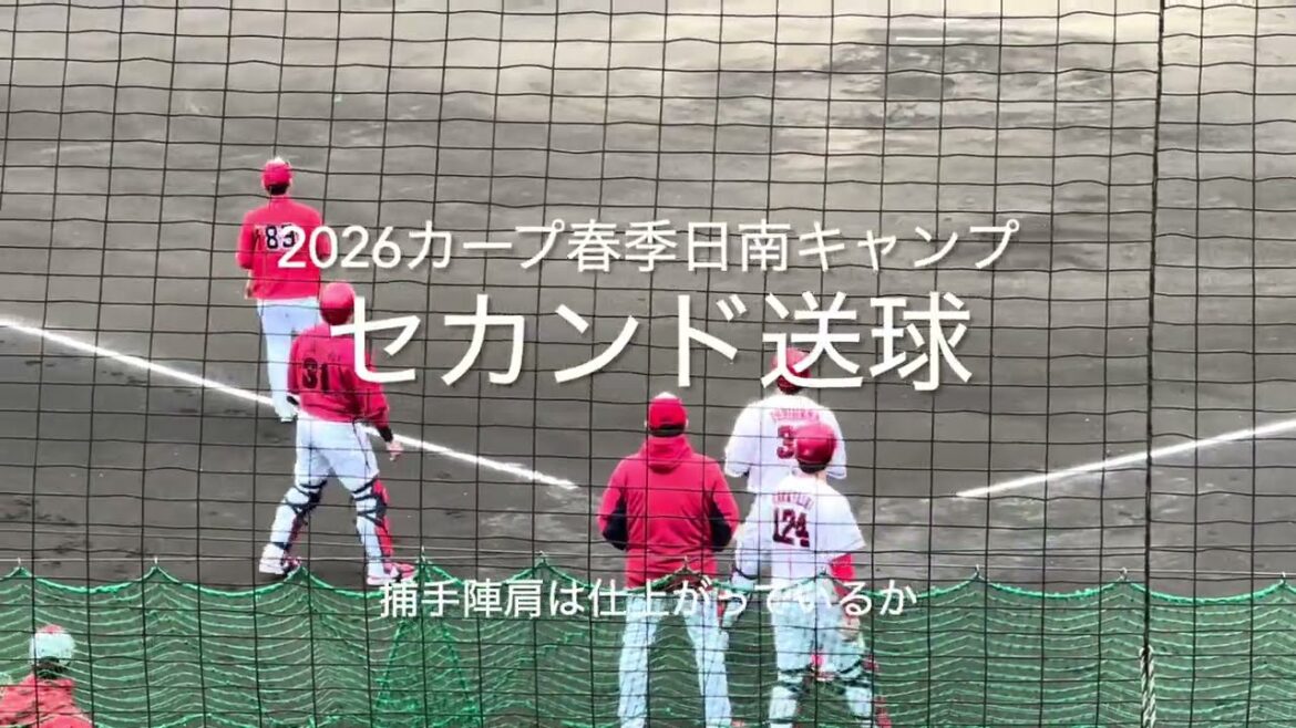 カープの不沈のポイント、捕手陣（坂倉、石原、小林）のセカンド送球！【2026.2.11春季日南キャンプ第3クール2日目】#広島カープ#紅白戦#2026春季日南キャンプ#坂倉将吾#石原貴規#小林結太