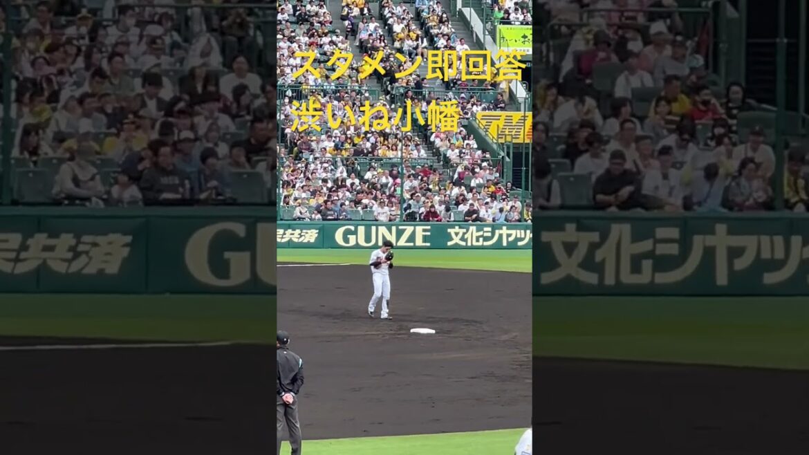 #阪神 #小幡竜平 選手