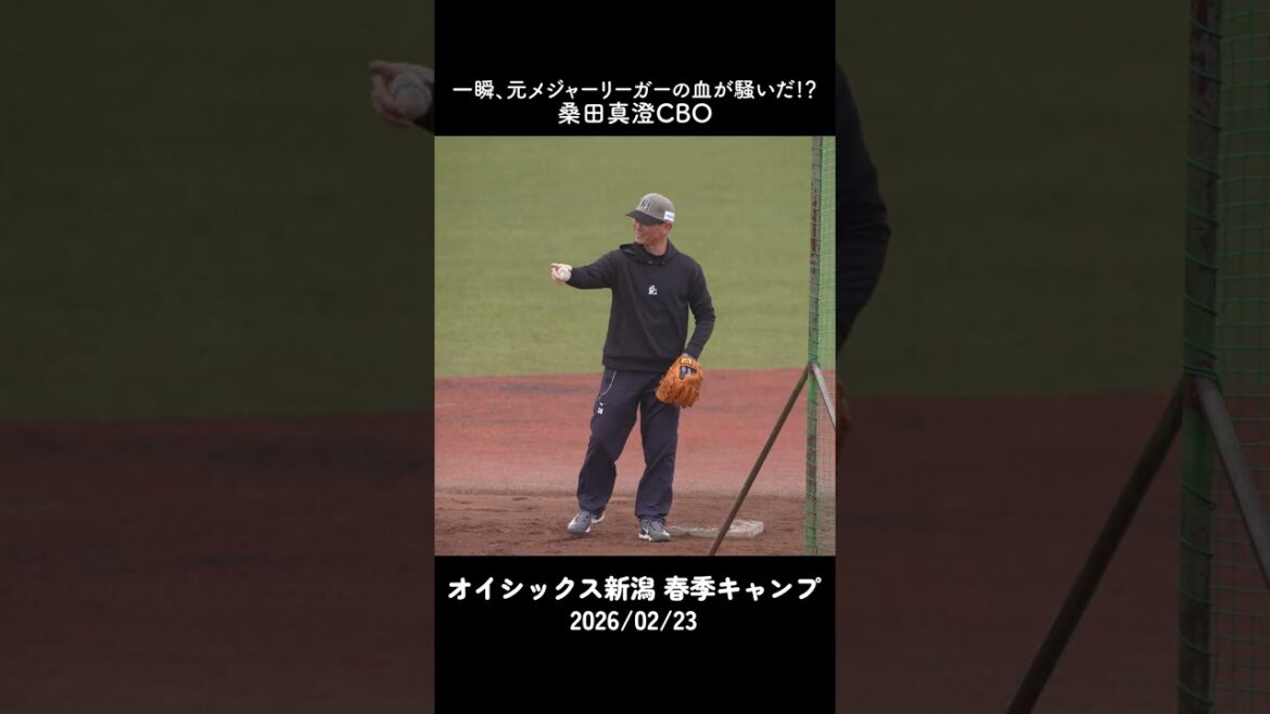 【プロ野球】桑田真澄CBO、一瞬元メジャーリーガーの血が騒いだ！？  #プロ野球ニュース #shorts #桑田真澄 #オイシックス新潟アルビレックスBC
