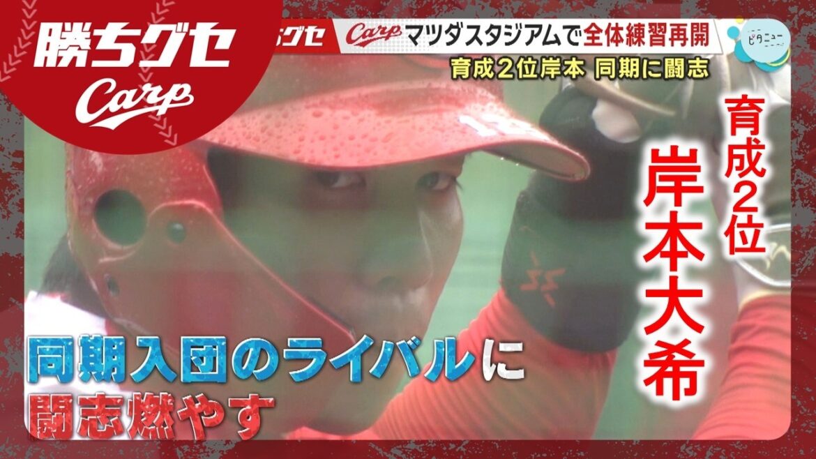 【Carp】マツダスタジアムで全体練習再開｜勝ちグセ｜カープ｜ピタニュー