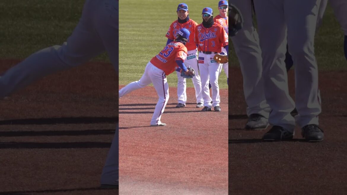 【プロ野球】元阪神タイガース＆北海道日本ハムファイターズの渡邉諒がオイシックス新潟の春季キャンプに参加 #プロ野球ニュース #shorts #渡邉諒 #オイシックス新潟アルビレックスBC