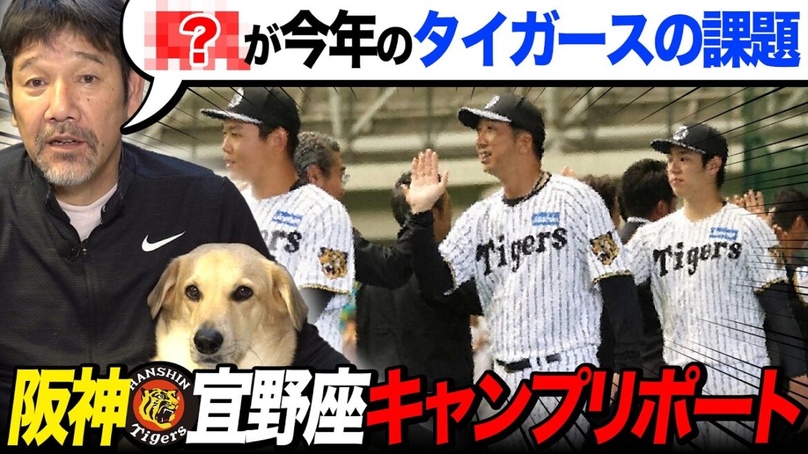 【下柳キャンプレポ】阪神連覇の道は石井投手離脱で大ピンチ!? 【下柳キャンプレポ】阪神連覇の道は石井投手離脱で大ピンチ!?