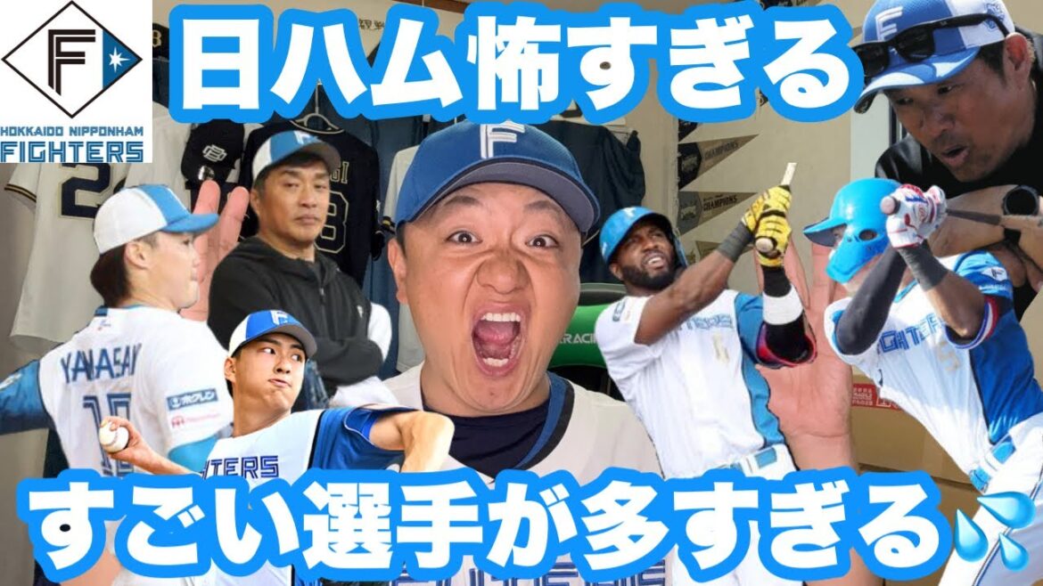 ファイターズが強敵すぎる！【日ハム春季キャンプを見て】