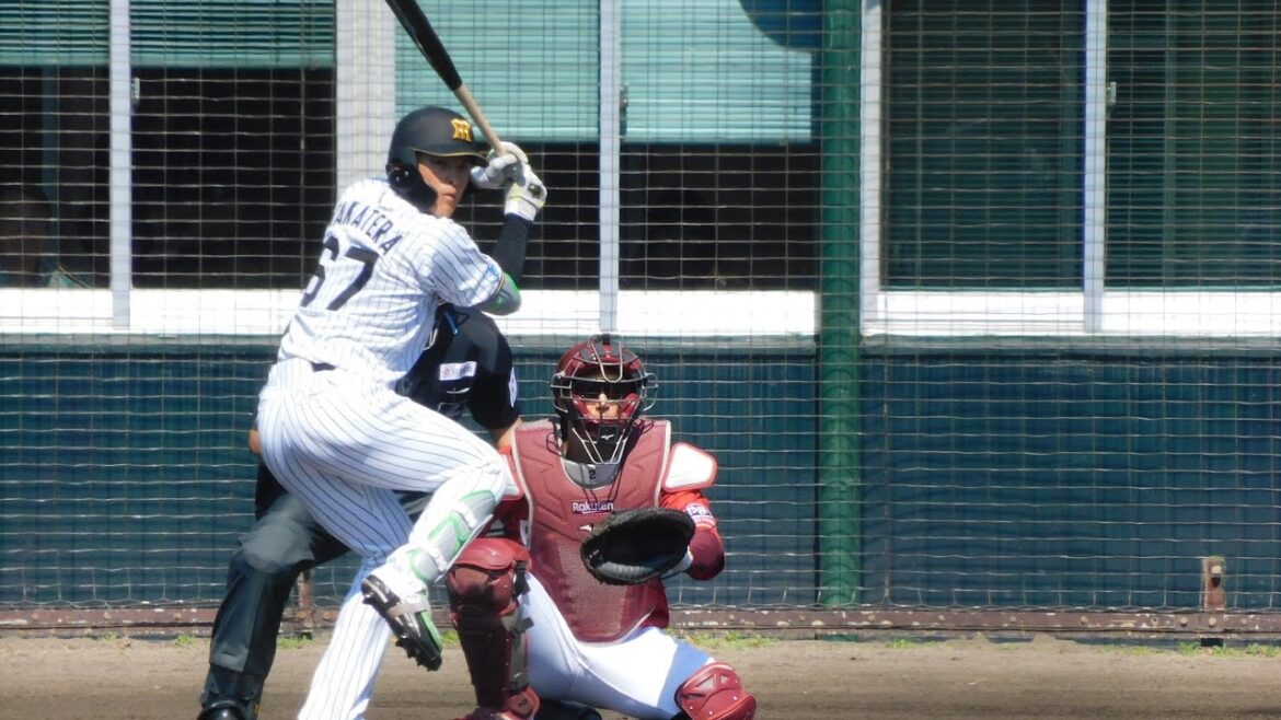 【今季大ブレイクへ】高寺望夢の止まらないアピール ライト前へタイムリーを放ち今日も結果を残す