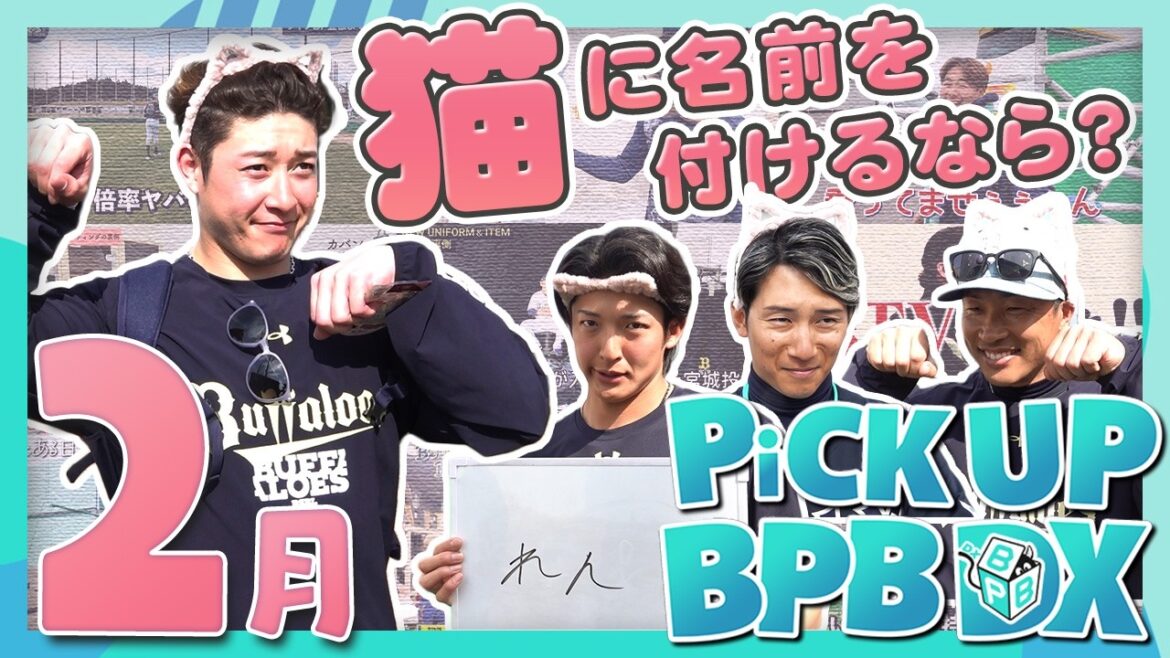 【2月のPICK UP！】「宮崎春季キャンプ動画」や「猫の日企画」などが登場！！