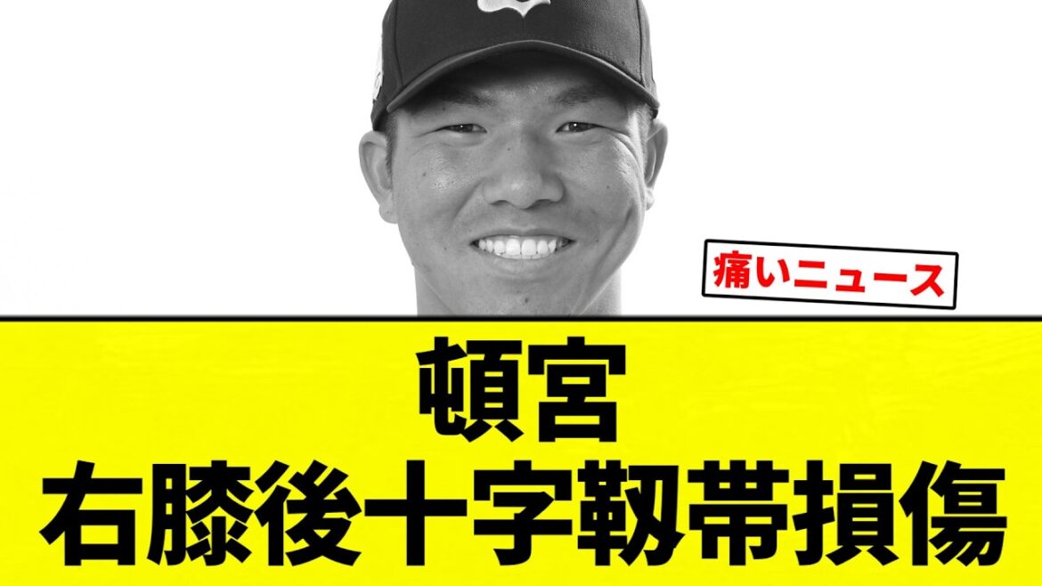 【最悪や...】頓宮 右膝後十字靱帯損傷【プロ野球反応集】【2chスレ】【なんG】