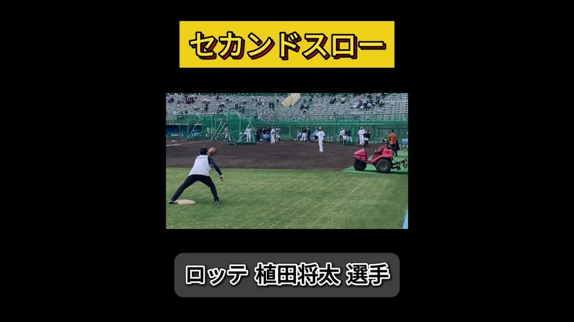 【春季キャンプ2026】植田将太選手（ロッテ）のスローイング練習 #千葉ロッテマリーンズ #春季キャンプ #糸満 #植田将太 #守備 #キャッチャー #野球youtube