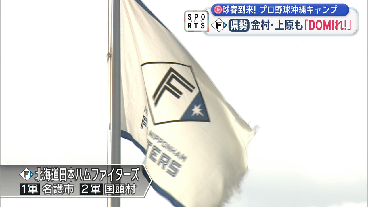 プロ野球キャンプイン２０２６