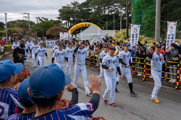 昨季覇者に夢膨らませ　宜野座・阪神