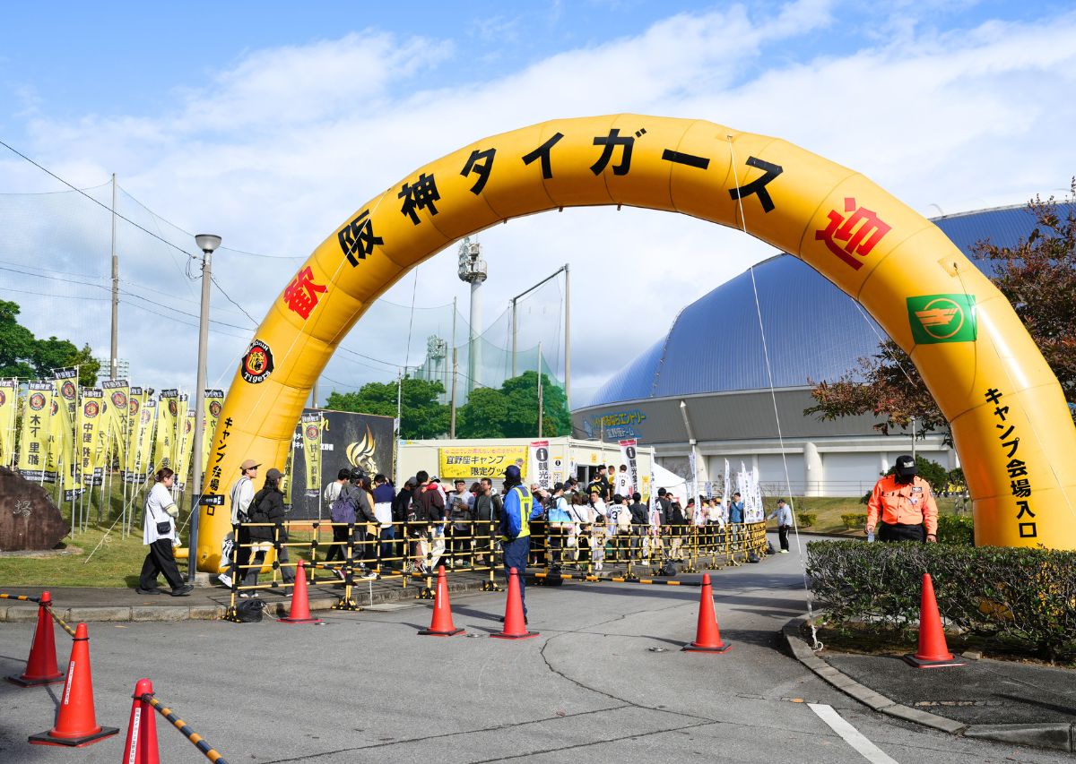 【阪神タイガース】沖縄 宜野座キャンプ2026年の見どころや注目選手は?
