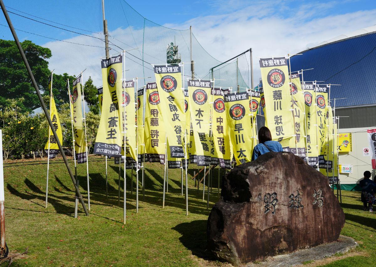 【阪神タイガース】沖縄 宜野座キャンプ2026年の見どころや注目選手は?