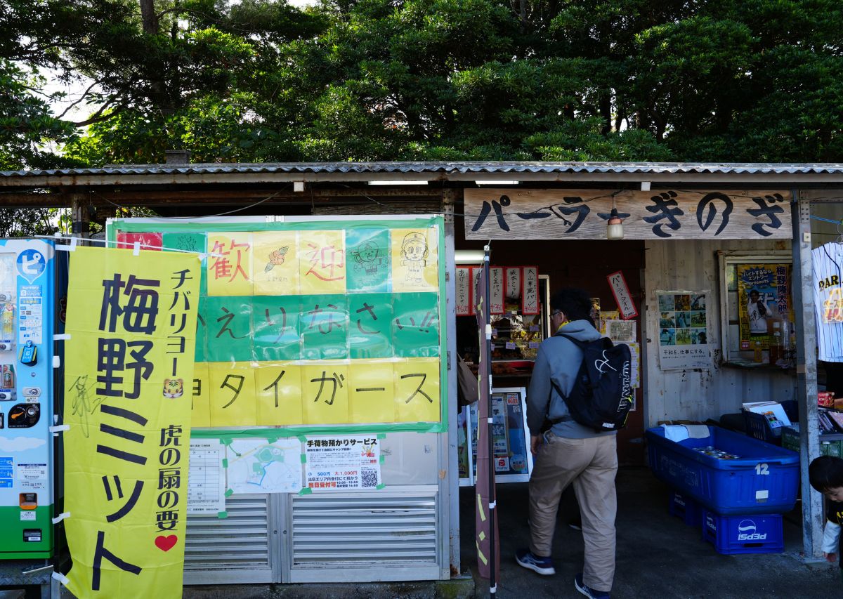 【阪神タイガース】沖縄 宜野座キャンプ2026年の見どころや注目選手は?