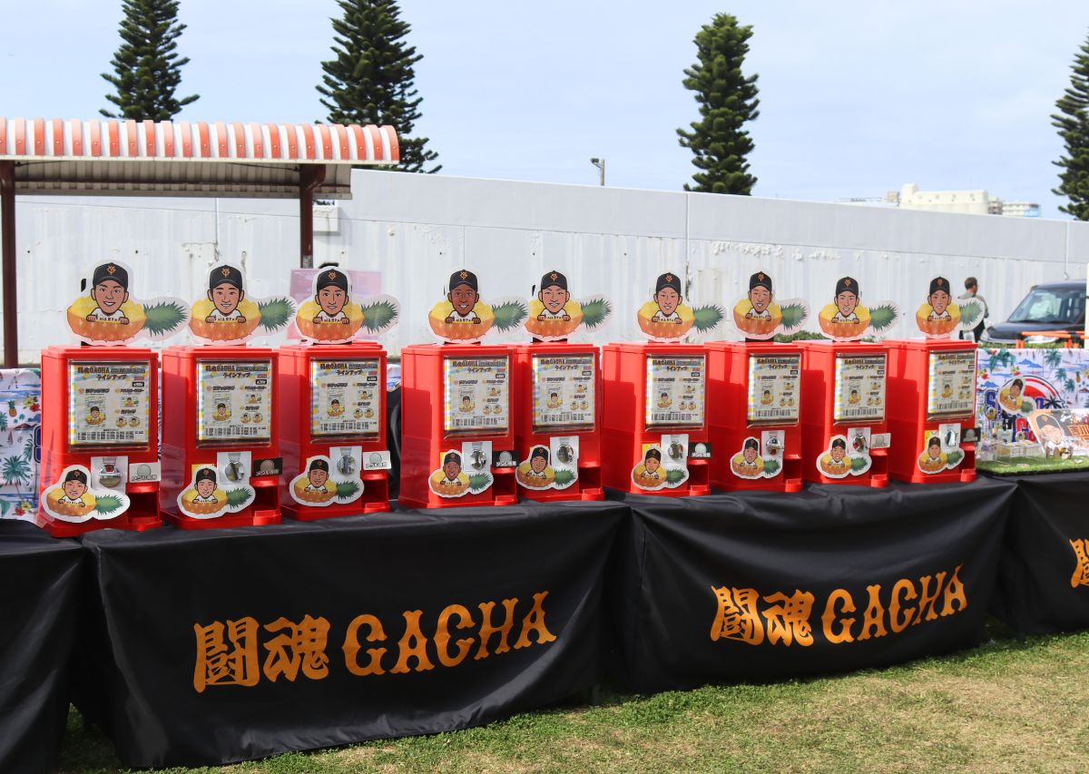 読売ジャイアンツ（巨人）沖縄 那覇キャンプ2026年の見どころや注目選手は？