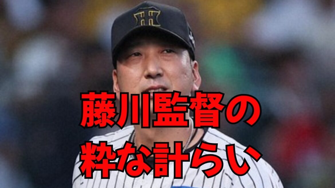 【阪神】藤川監督の粋すぎる計らい！侍ジャパンへ贈る“友情継投”の衝撃。ルーカス、ドリス、モレッタで再現する「仮想メジャー」の舞台。WBC直前、世界一への最終調整は“球児流”の熱いエール！