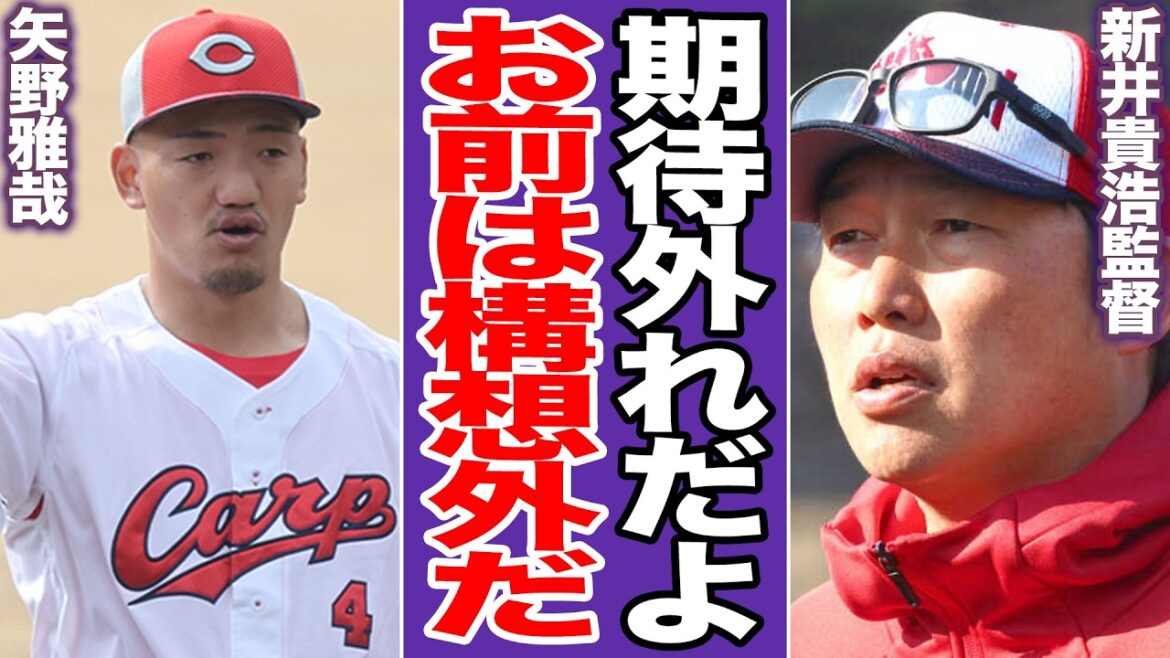 矢野雅哉「2軍強制送還」の衝撃！ドラ6西川“下克上”で正遊撃手剥奪へ…新井監督が冷徹に見切った「守備職人の限界」と「目立たない」の真意【プロ野球】