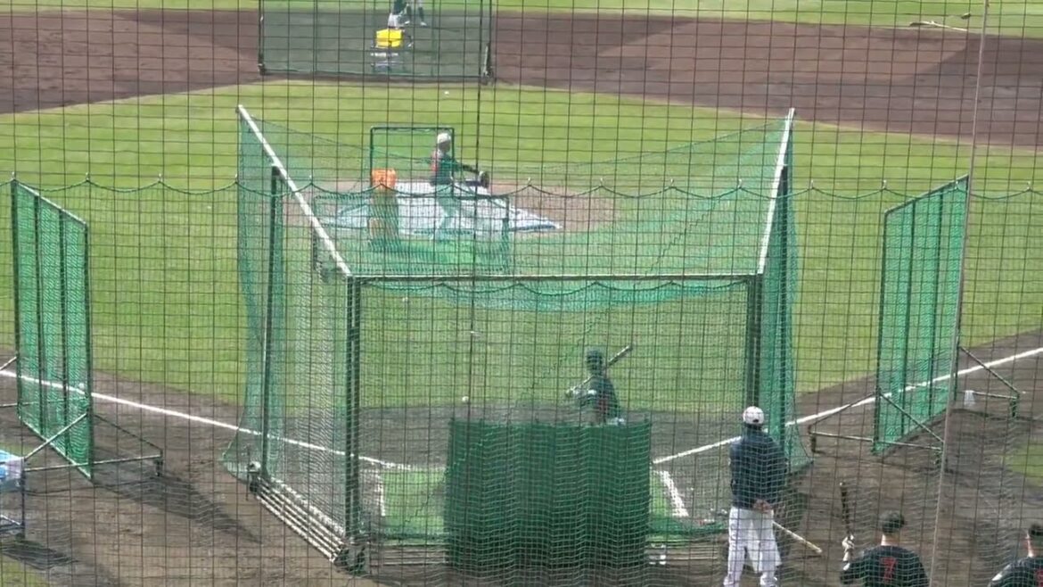 侍ジャパン宮崎キャンプ 周東佑京フリー打撃 #WBC球 #飛ぶボール #sbhawks