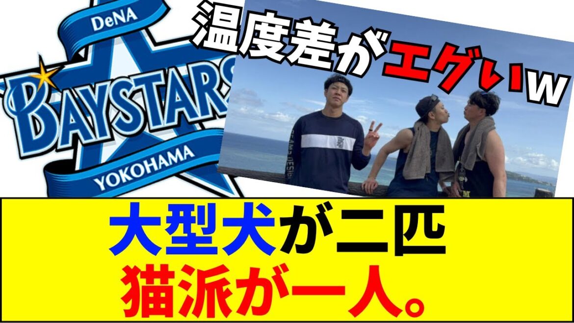 【速報】【放送事故】DeNA入江と竹田のイチャつきが度を超えてる件。横で平良が死んだ魚の目をしてて草。【ネットの反応】