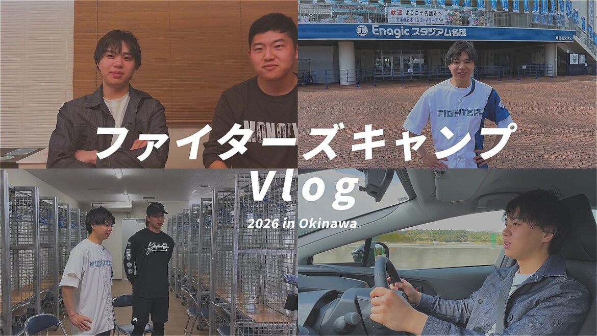【球団とコラボ】選手インタビューなどファイターズキャンプに密着した1日Vlog
