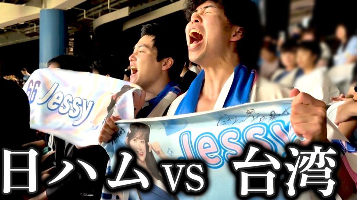 日本ハムVS台湾代表の試合で水谷を全力絶叫応援してきた