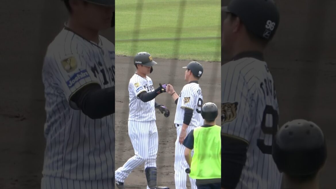 野手転向の西純矢がヒットを放つ！！